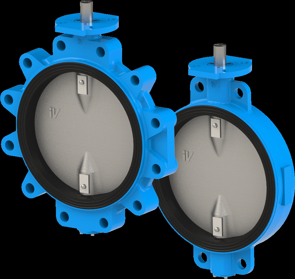 Replaceable Seat Butterfly Valve