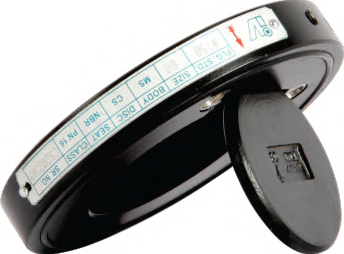 Dual Plate Check Valve